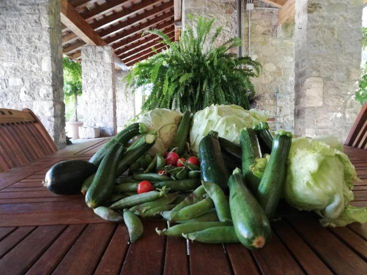 Ronc Dai Luchis Villa Faedis Екстериор снимка
